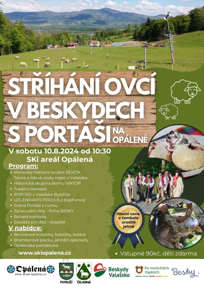 Stříhání ovcí v Beskydech